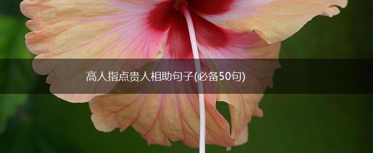 高人指点贵人相助句子(必备50句),第1张