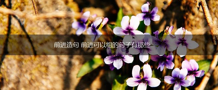 前进造句 前进可以组的句子有那些,第1张