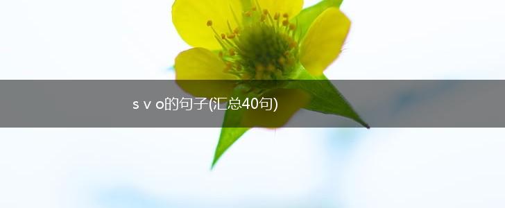 s v o的句子(汇总40句),第1张