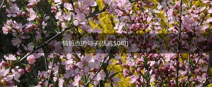 转折点的句子(优选50句),第1张