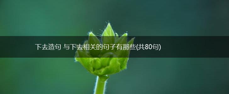 下去造句 与下去相关的句子有那些(共80句),第1张