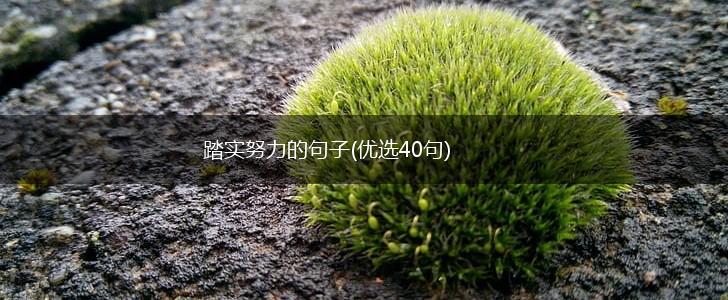 踏实努力的句子(优选40句),第1张