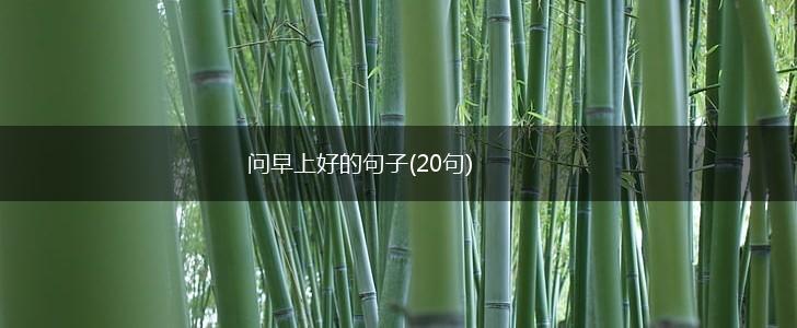 问早上好的句子(20句),第1张