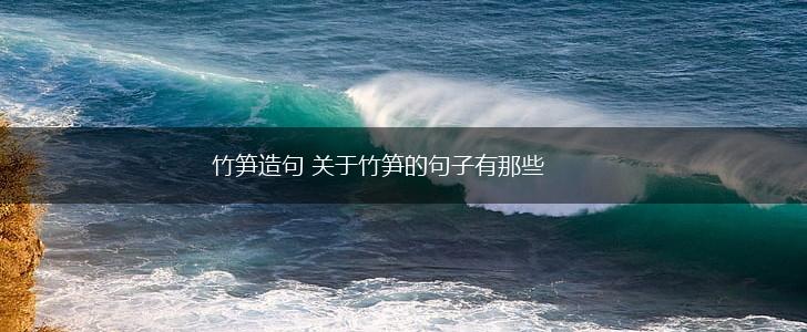 竹笋造句 关于竹笋的句子有那些,第1张