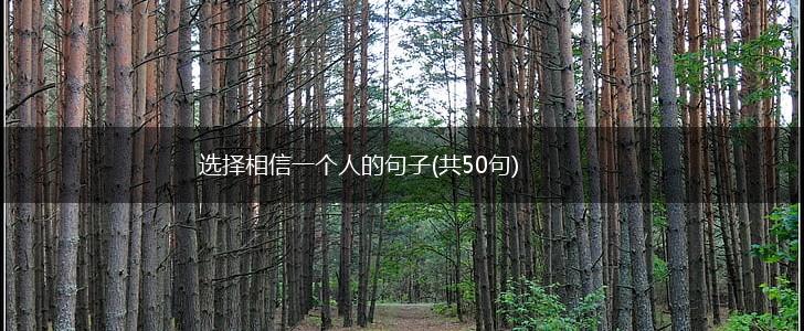 选择相信一个人的句子(共50句),第1张