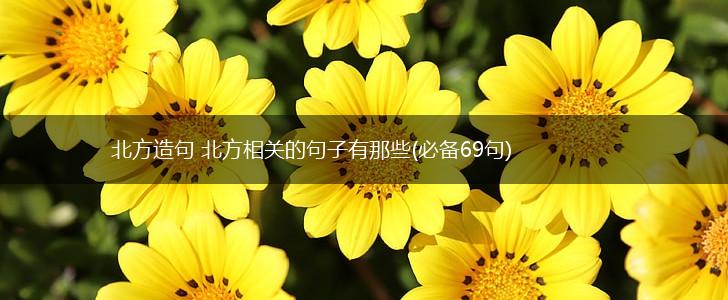 北方造句 北方相关的句子有那些(必备69句),第1张
