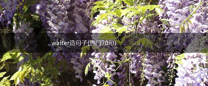 waiter造句子(热门70句),第1张
