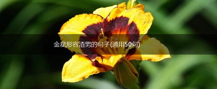 金星形容渣男的句子(通用50句),第1张