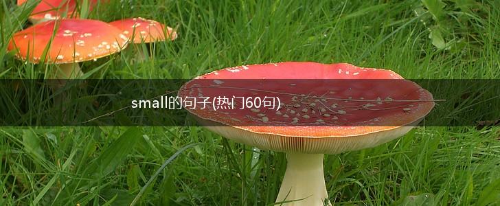 small的句子(热门60句),第1张