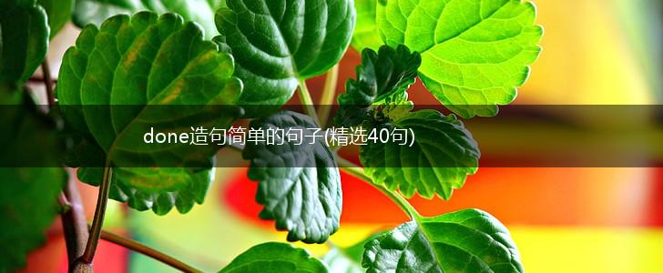 done造句简单的句子(精选40句),第1张