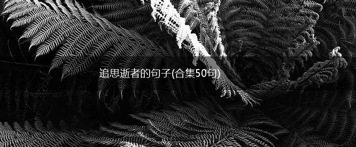 追思逝者的句子(合集50句),第1张