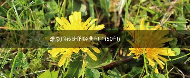 难熬的夜班的经典句子(50句),第1张