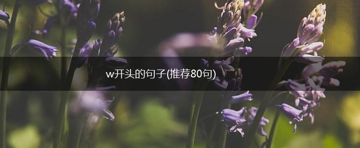 w开头的句子(推荐80句),第1张