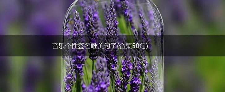音乐个性签名唯美句子(合集50句),第1张