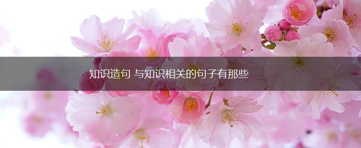 知识造句 与知识相关的句子有那些,第1张