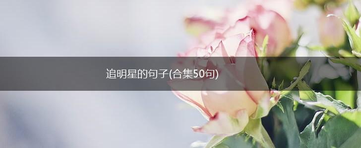 追明星的句子(合集50句),第1张