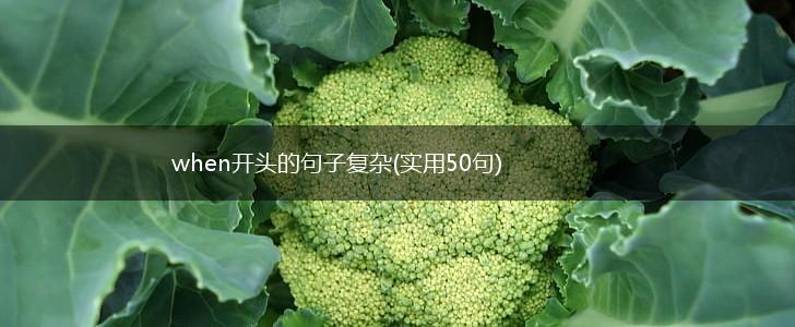 when开头的句子复杂(实用50句),第1张