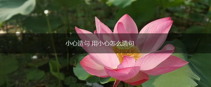 小心造句 用小心怎么造句,第1张