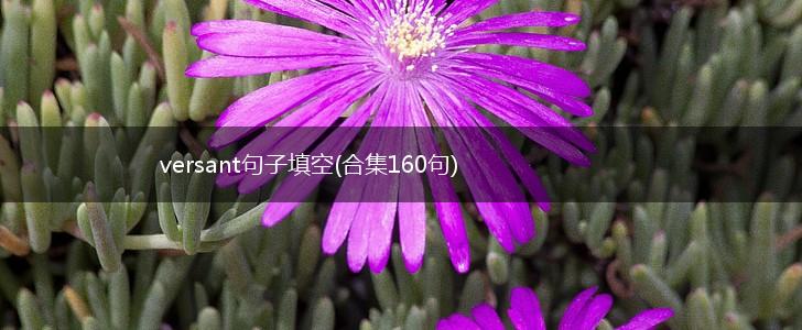 versant句子填空(合集160句),第1张