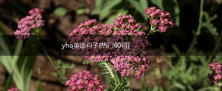 yhq英语句子(热门60句),第1张