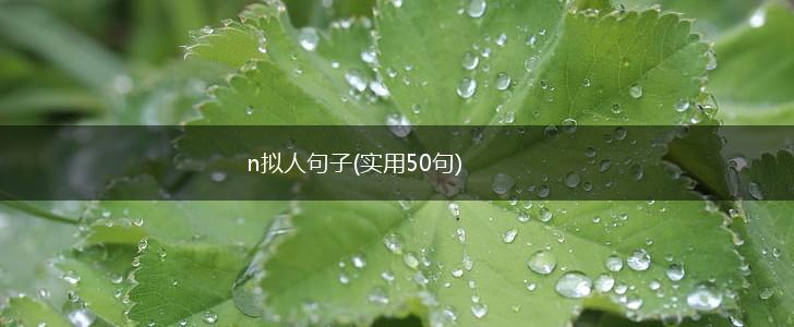 n拟人句子(实用50句),第1张