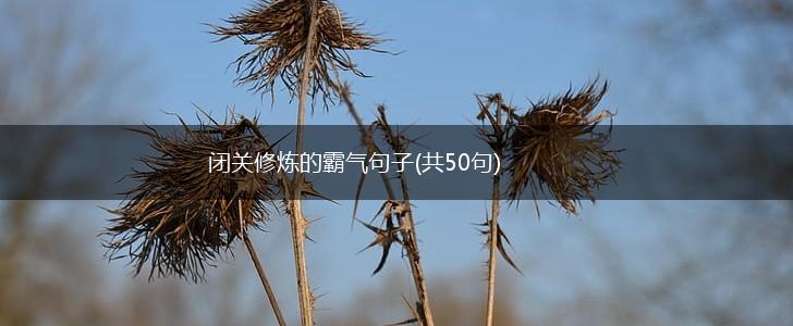 闭关修炼的霸气句子(共50句),第1张