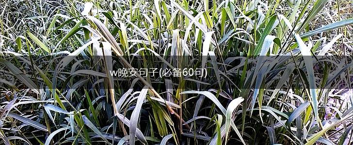 w晚安句子(必备60句),第1张