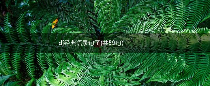 dj经典语录句子(共59句),第1张