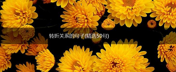 转折关系的句子(精选50句),第1张