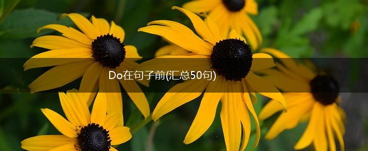 Do在句子前(汇总50句),第1张