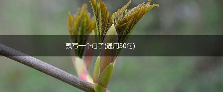 飘写一个句子(通用30句),第1张