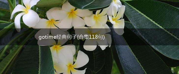 gotime经典句子(合集118句),第1张