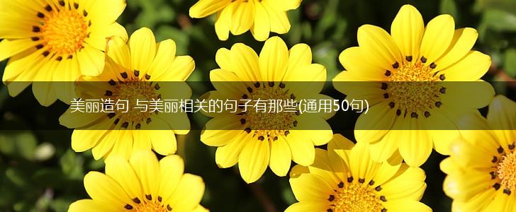 美丽造句 与美丽相关的句子有那些(通用50句),第1张