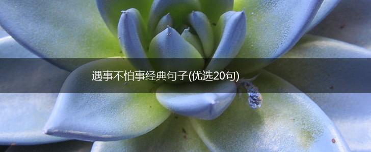 遇事不怕事经典句子(优选20句),第1张