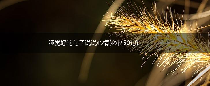 睡觉好的句子说说心情(必备50句),第1张