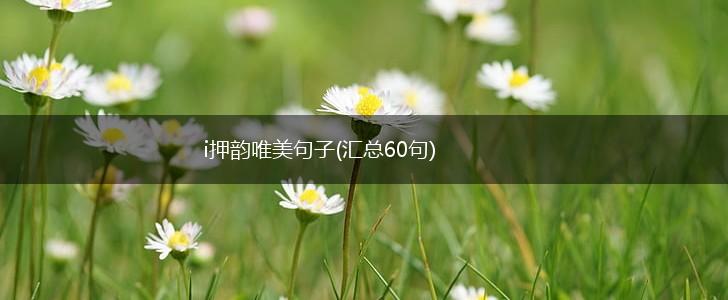 i押韵唯美句子(汇总60句),第1张