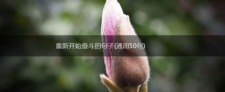 重新开始奋斗的句子(通用50句),第1张