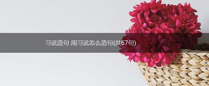 习武造句 用习武怎么造句(共67句),第1张