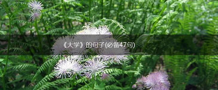 《大学》的句子(必备47句),第1张