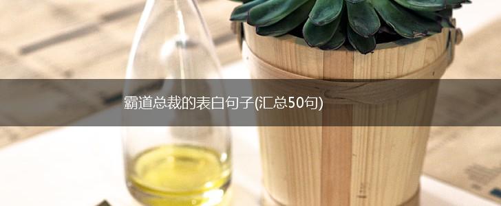霸道总裁的表白句子(汇总50句),第1张