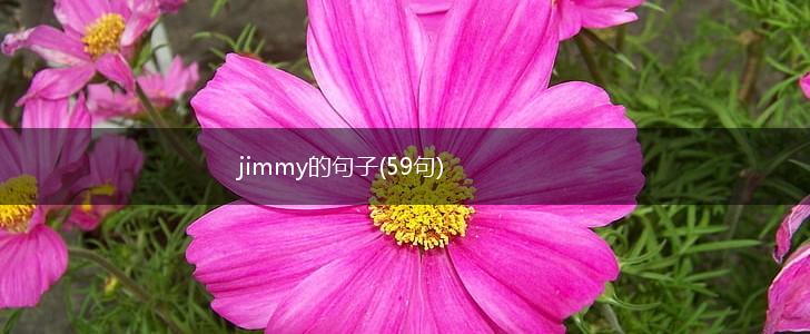 jimmy的句子(59句),第1张