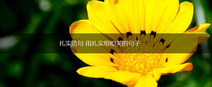 扎实造句 用扎实组相关的句子,第1张