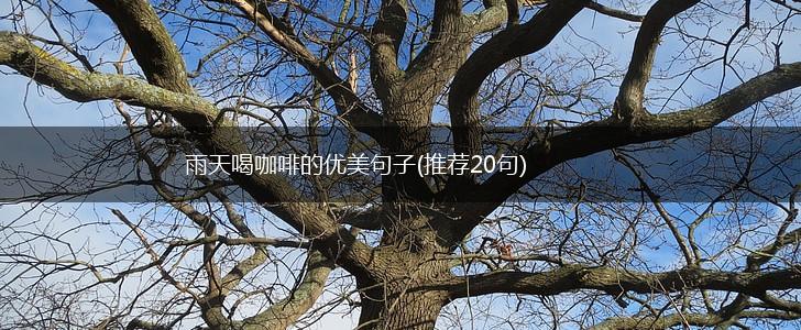 雨天喝咖啡的优美句子(推荐20句),第1张