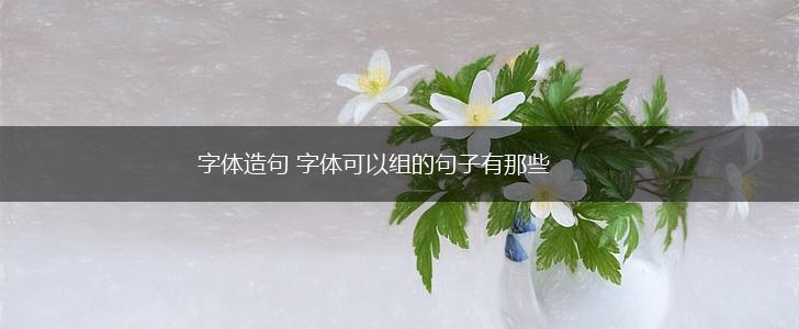 字体造句 字体可以组的句子有那些,第1张