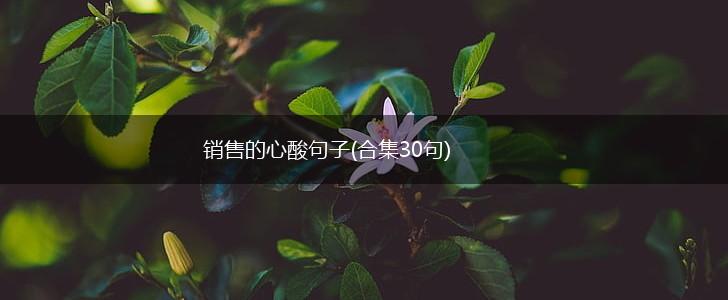 销售的心酸句子(合集30句),第1张