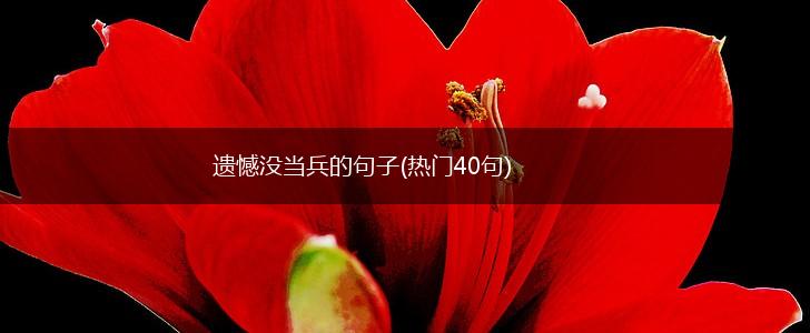 遗憾没当兵的句子(热门40句),第1张