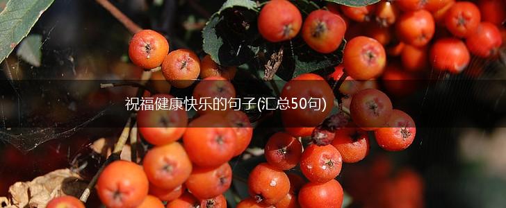 祝福健康快乐的句子(汇总50句),第1张