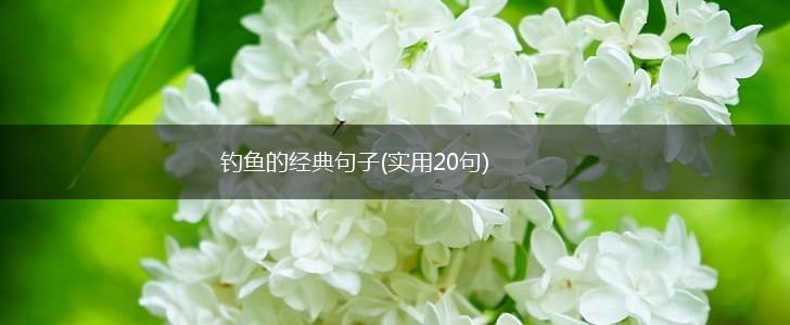 钓鱼的经典句子(实用20句),第1张
