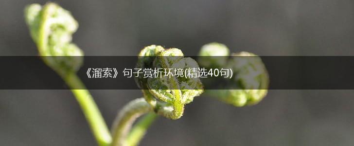 《溜索》句子赏析环境(精选40句),第1张