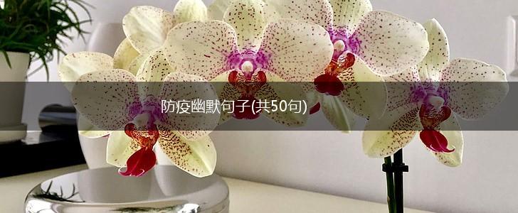 防疫幽默句子(共50句),第1张